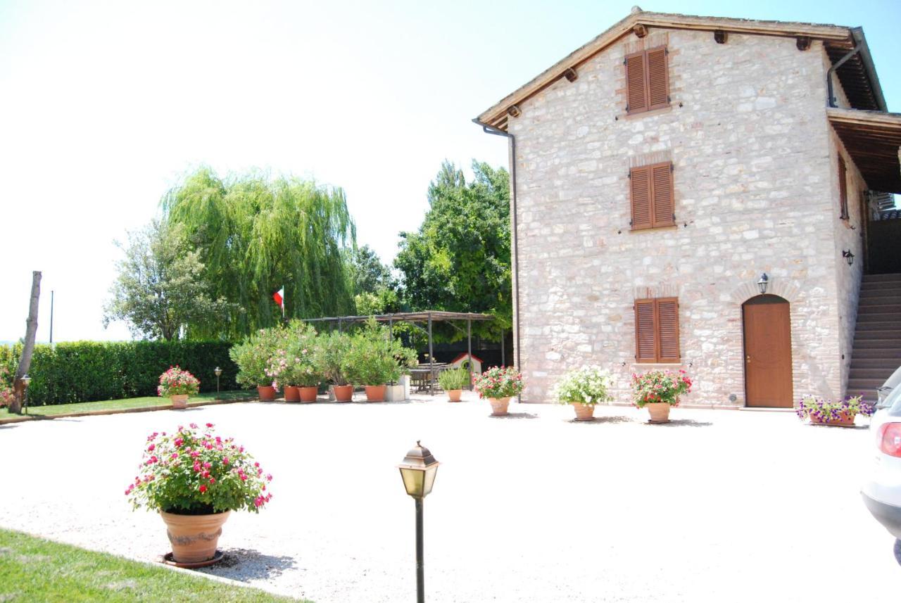 Agriturismo"Il Sagrato Di Assisi" Appartamenti,Camere Eksteriør bilde