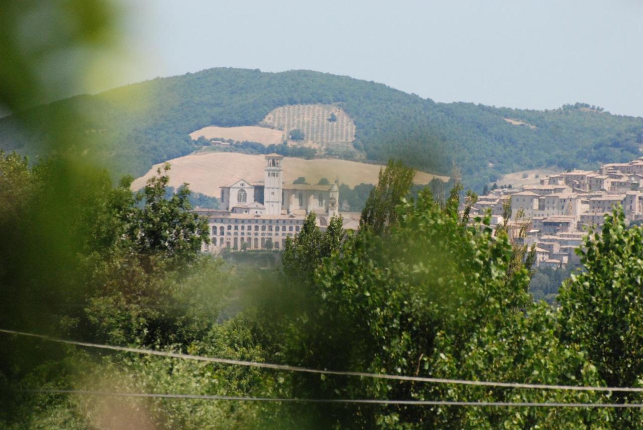 Agriturismo"Il Sagrato Di Assisi" Appartamenti,Camere Eksteriør bilde