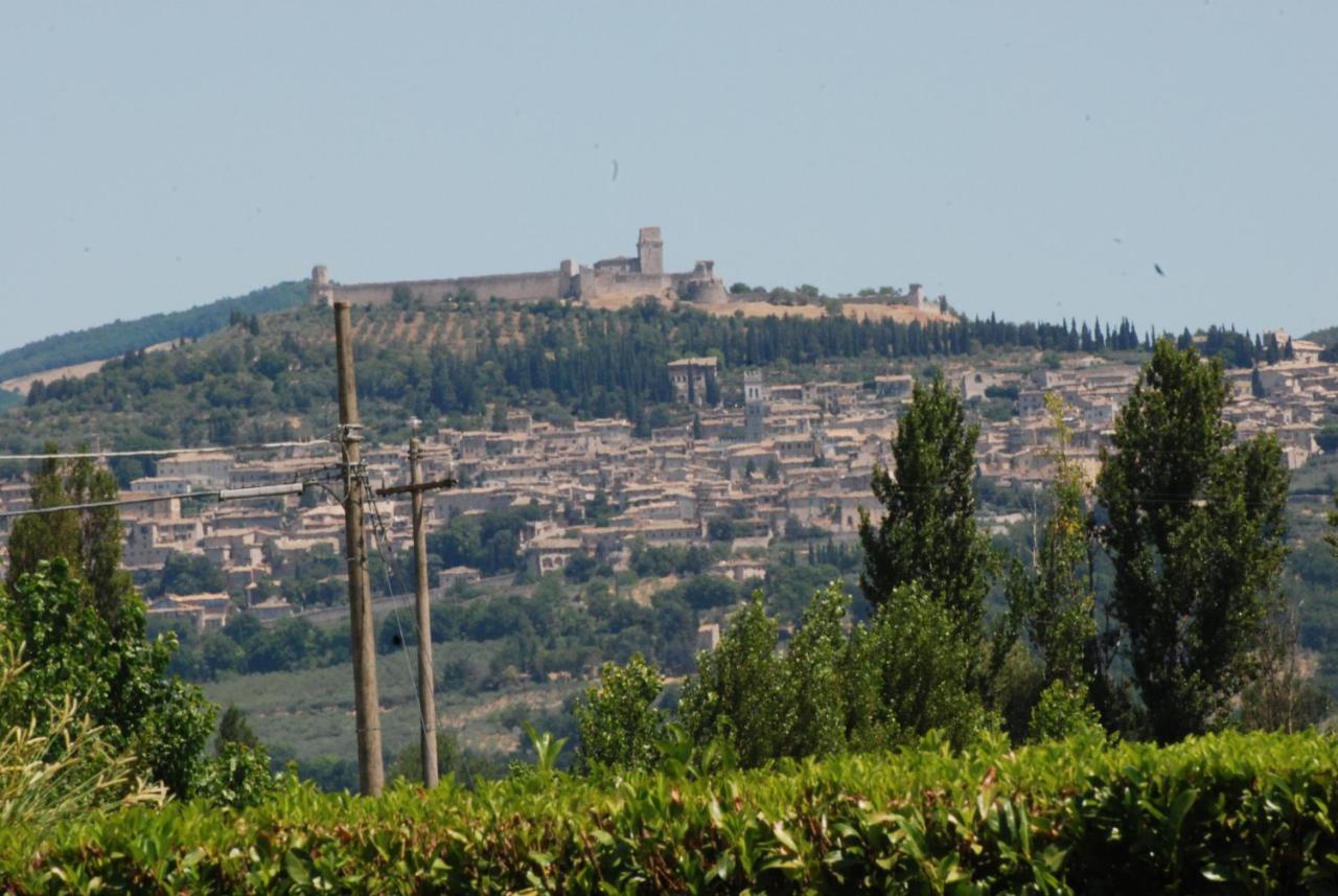 Agriturismo"Il Sagrato Di Assisi" Appartamenti,Camere Eksteriør bilde