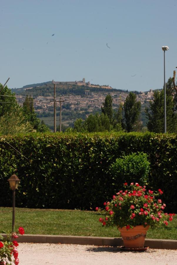 Agriturismo"Il Sagrato Di Assisi" Appartamenti,Camere Eksteriør bilde