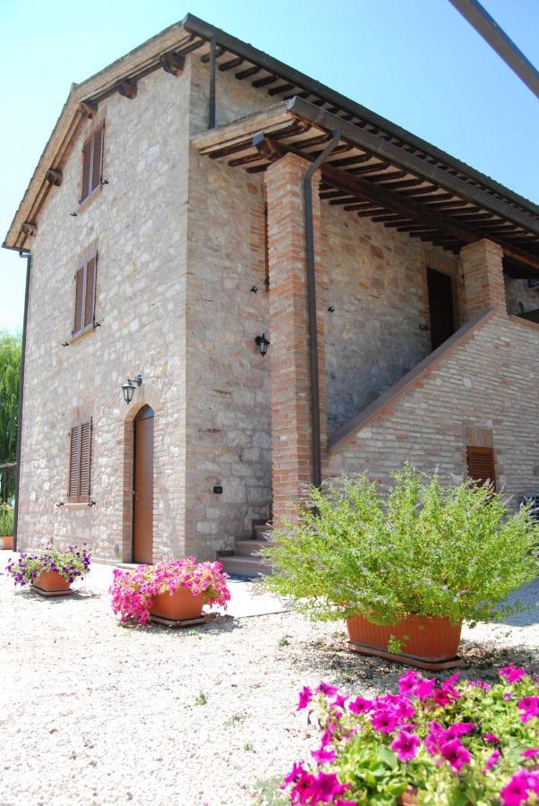 Agriturismo"Il Sagrato Di Assisi" Appartamenti,Camere Eksteriør bilde