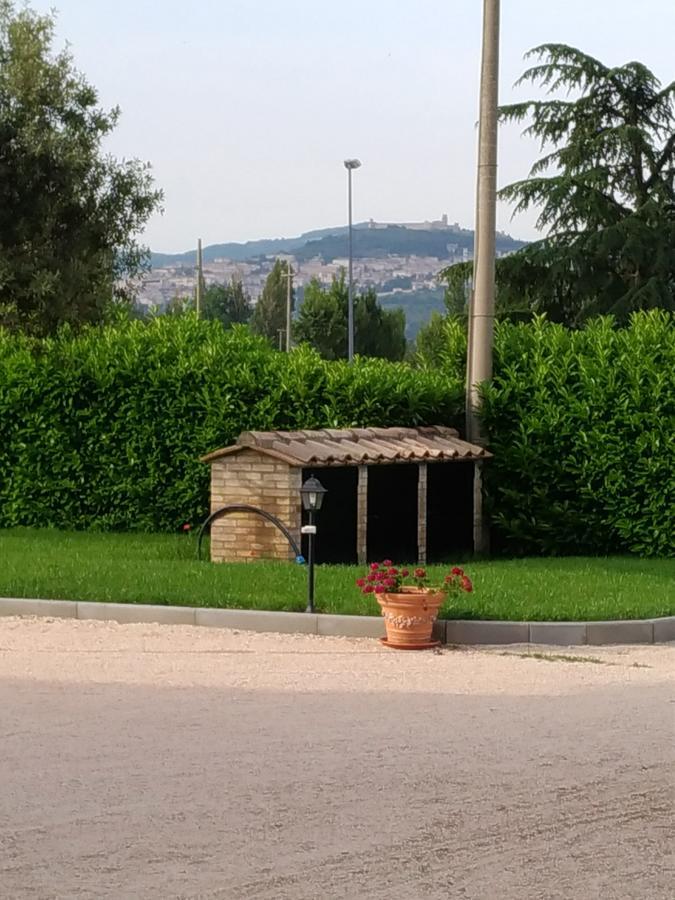 Agriturismo"Il Sagrato Di Assisi" Appartamenti,Camere Eksteriør bilde