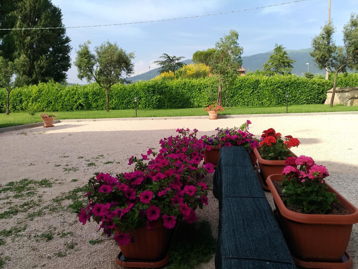 Agriturismo"Il Sagrato Di Assisi" Appartamenti,Camere Eksteriør bilde