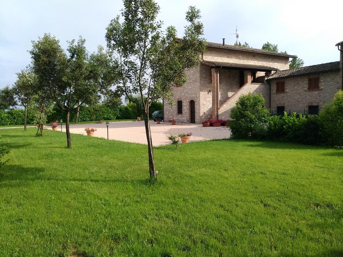 Agriturismo"Il Sagrato Di Assisi" Appartamenti,Camere Eksteriør bilde