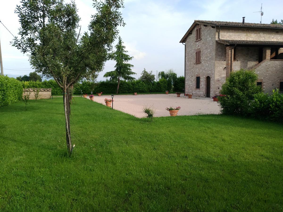 Agriturismo"Il Sagrato Di Assisi" Appartamenti,Camere Eksteriør bilde