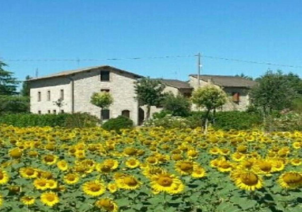 Agriturismo"Il Sagrato Di Assisi" Appartamenti,Camere Eksteriør bilde